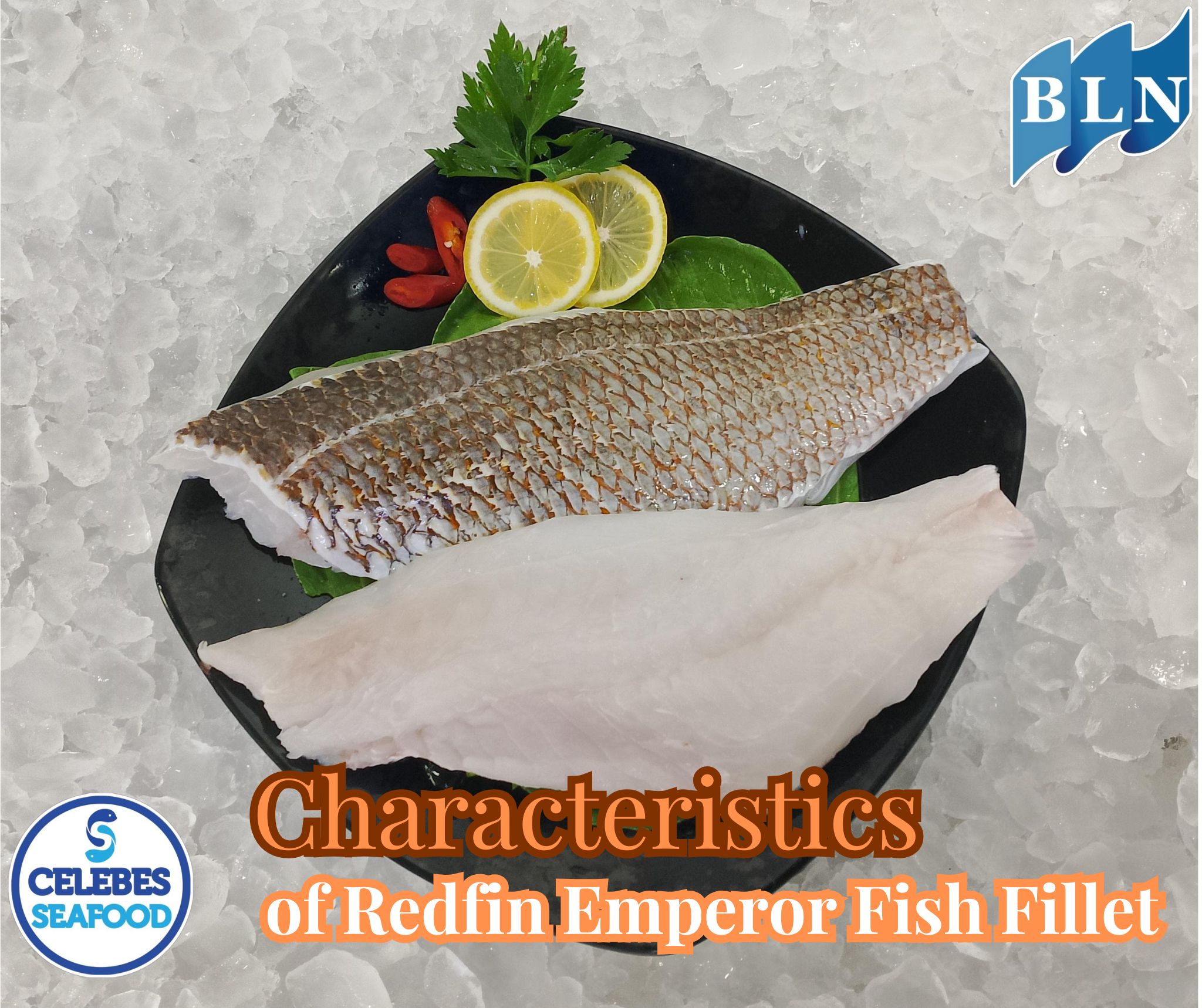 Get to Know the Characteristics of Redfin Emperor Fish Fillets